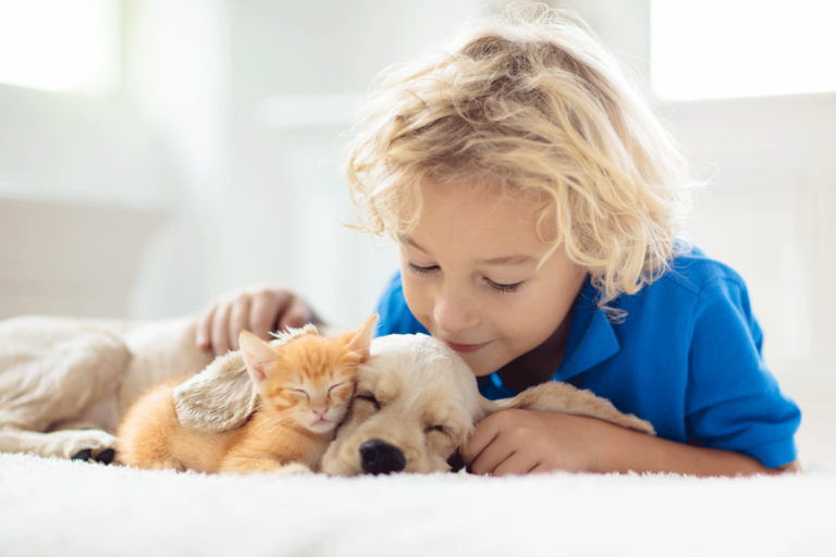 Tips to Improve Your Indoor Air Quality if You're a Pet Owner