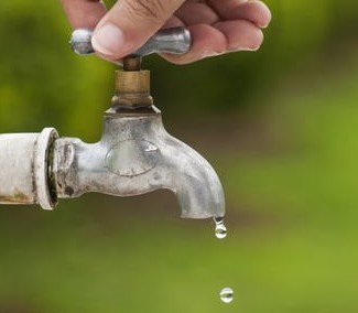 4 Simple Ways to Save Water this Summer